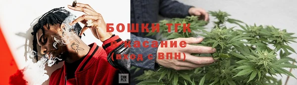 бошки Белокуриха