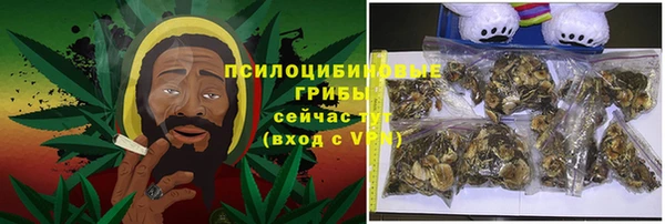индика Белоозёрский