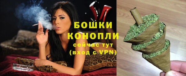 индика Белоозёрский