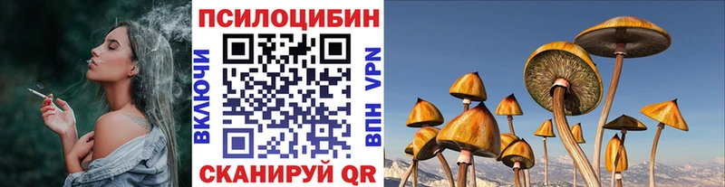 Псилоцибиновые грибы Psilocybe  мега зеркало  Заводоуковск 